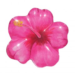 bimp---hibiscus